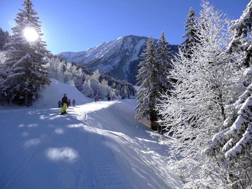 Le Grandcoeur Apartman Le Bourg-dʼOisans Kültér fotó